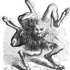 Meet your Posher, Gavin